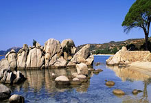 旺财28：第34届乒乓球亚洲杯收官 王楚钦、王曼昱夺冠.